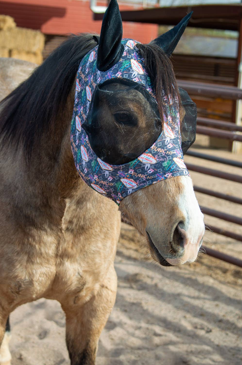 Lycra Fly Mask