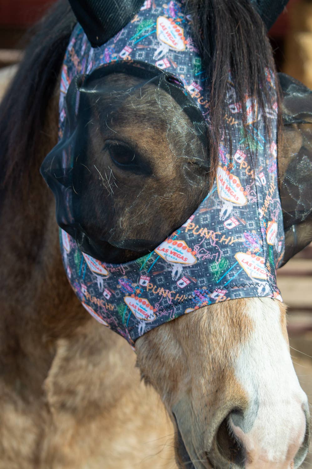 Lycra Fly Mask