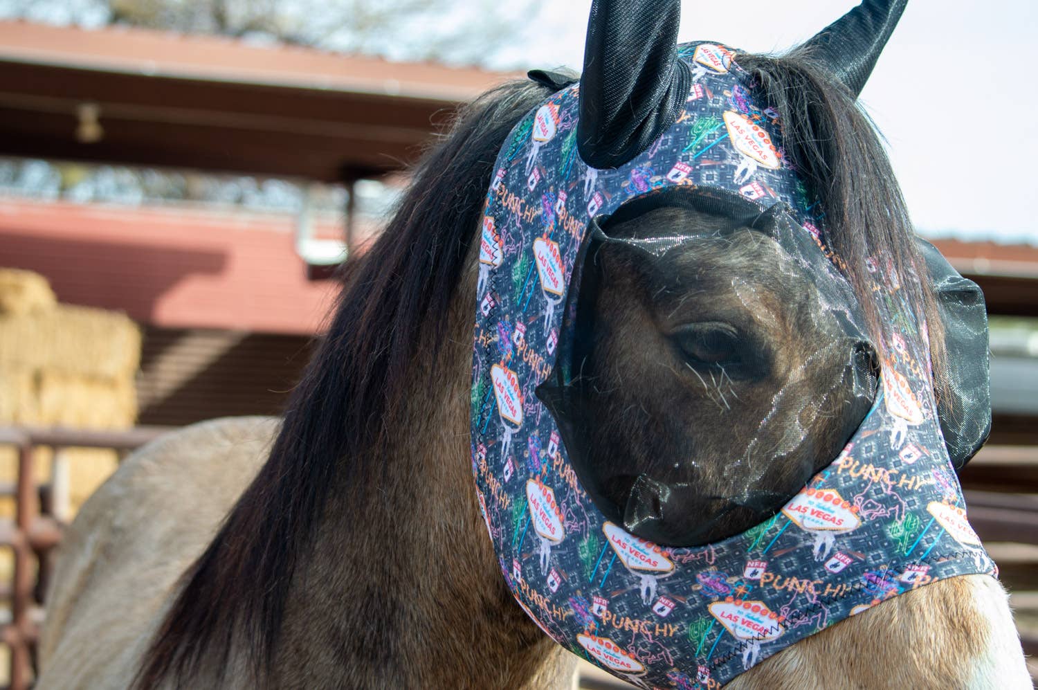 Lycra Fly Mask