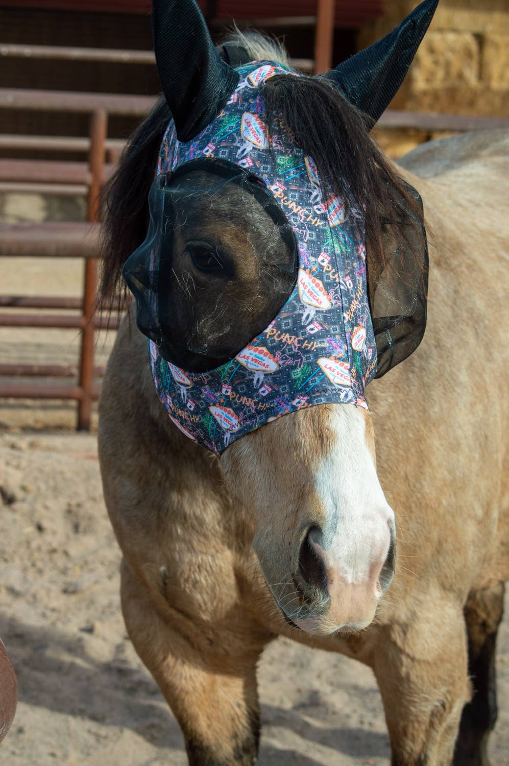 Lycra Fly Mask