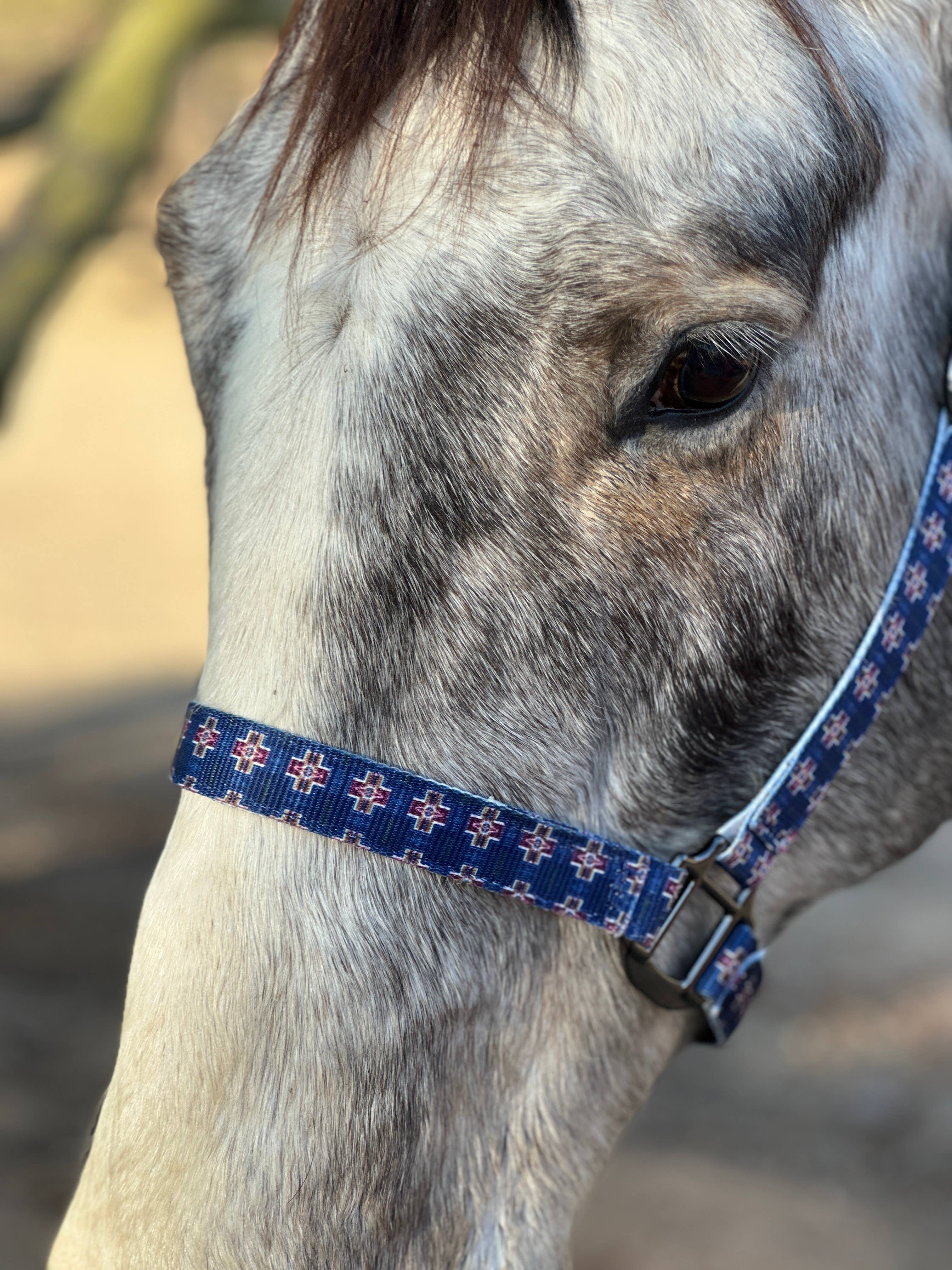 Nylon Halter - Horse Size