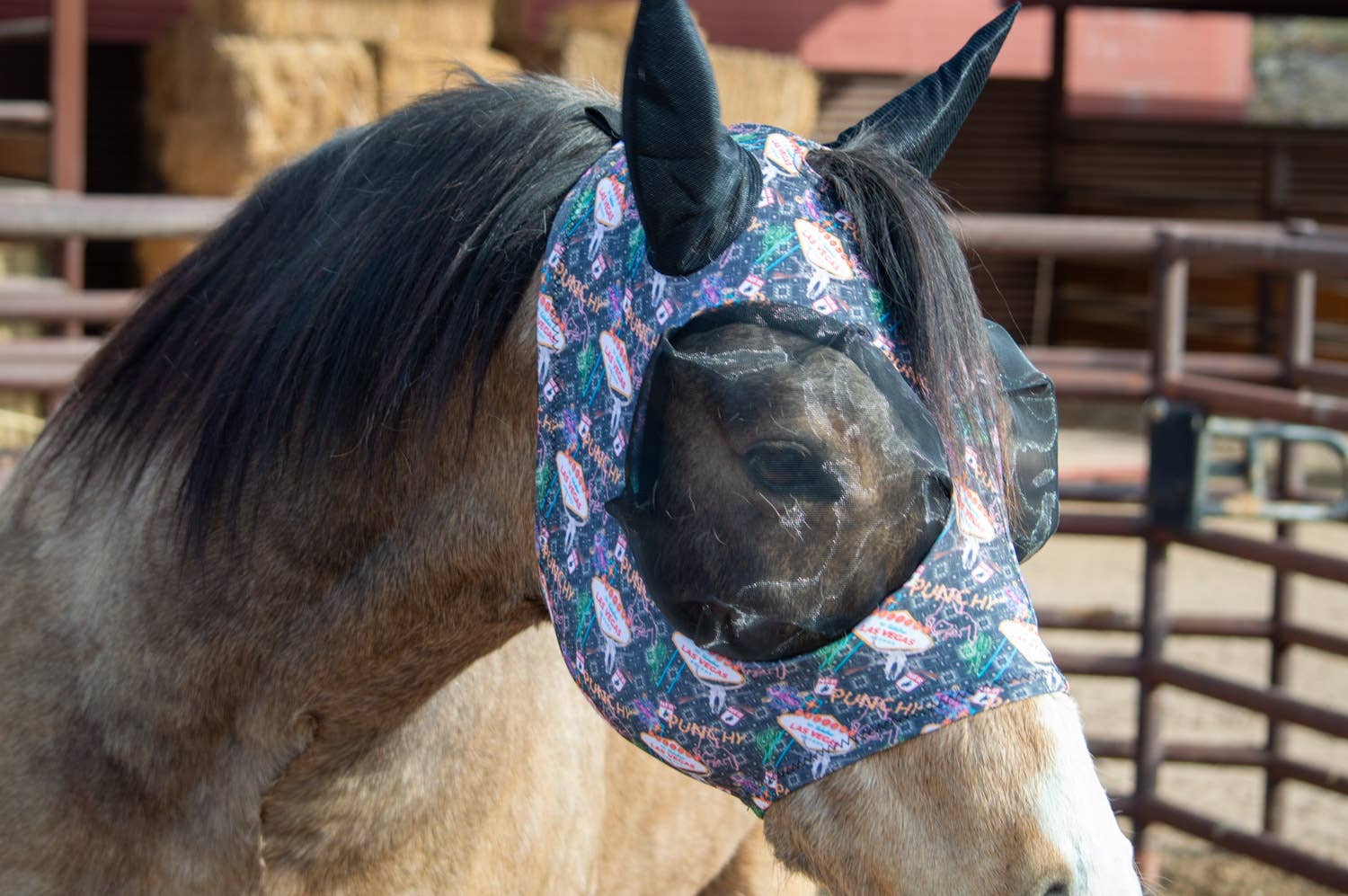 Lycra Fly Mask