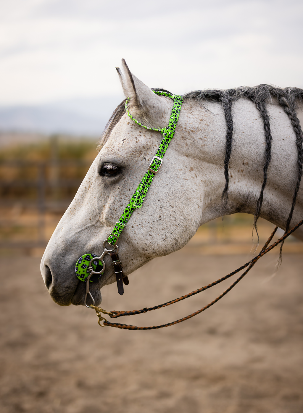 Nylon One Ear Headstall