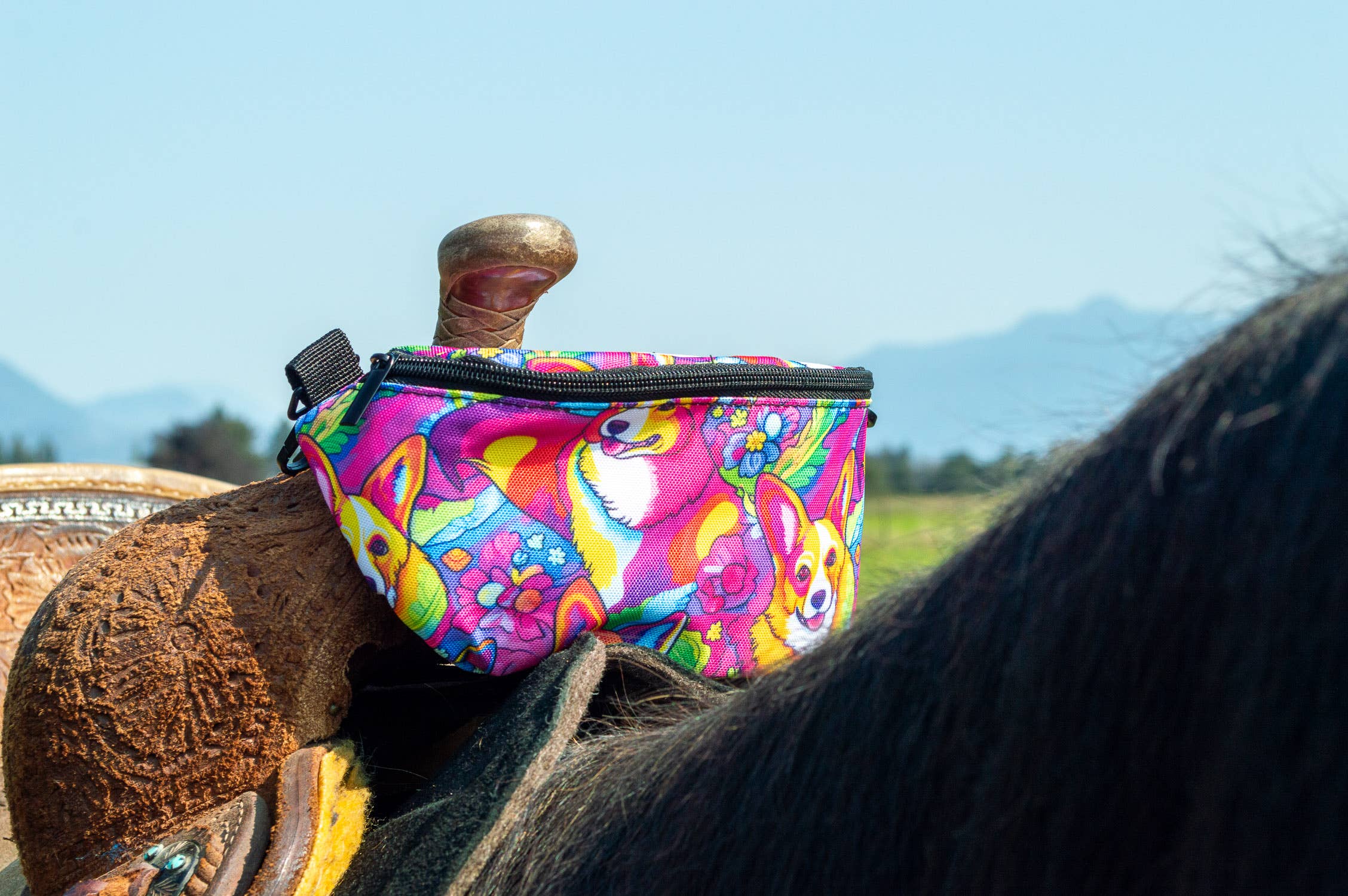 Saddle Pak