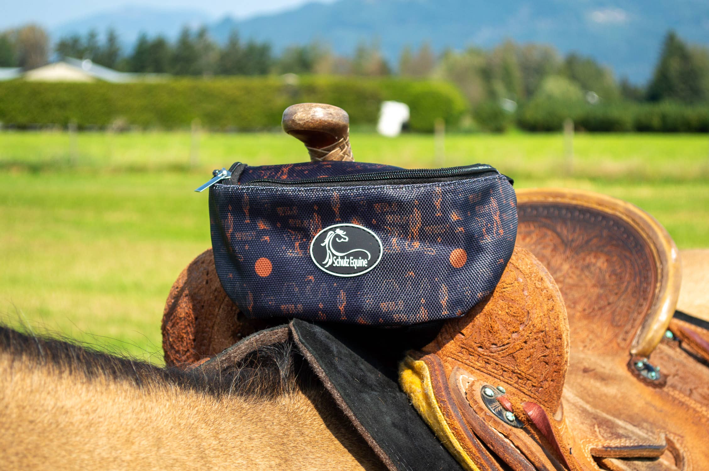 Saddle Pak