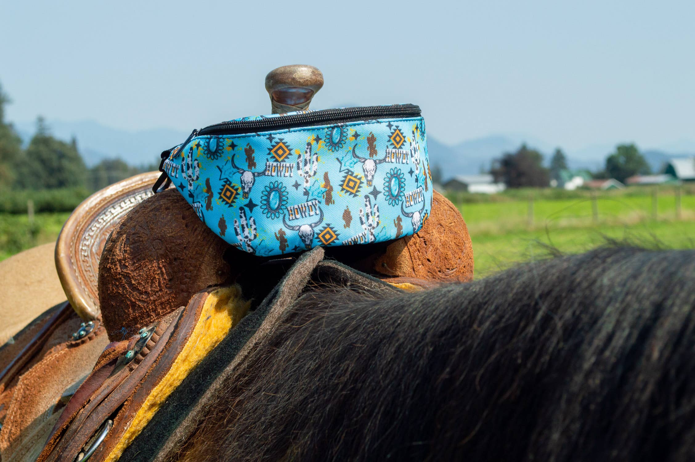 Saddle Pak