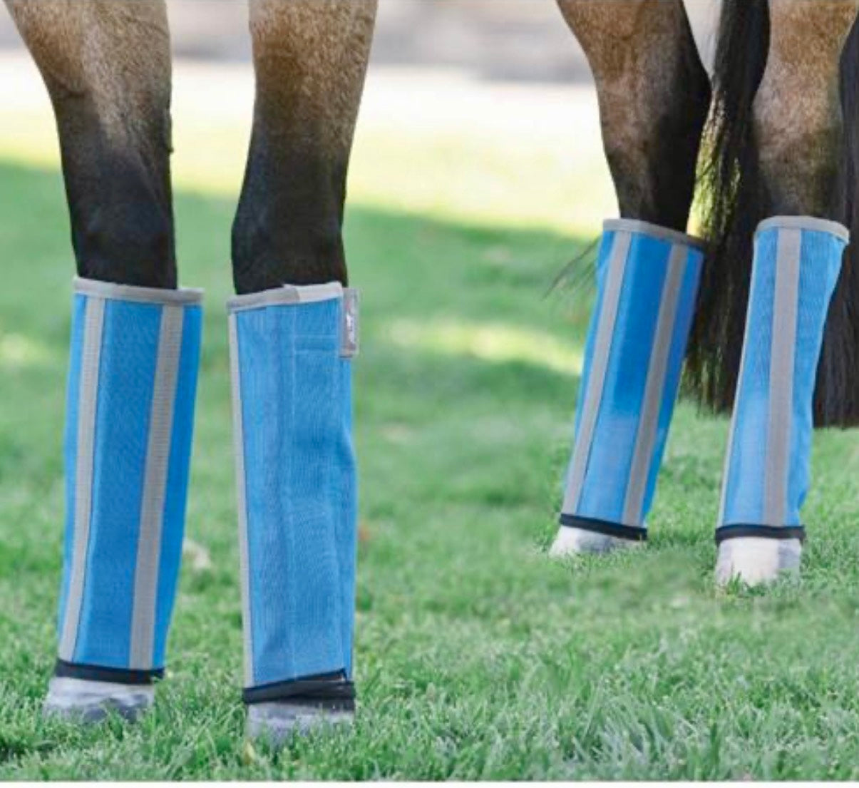 PC Deluxe Fly Boots (Horse)
