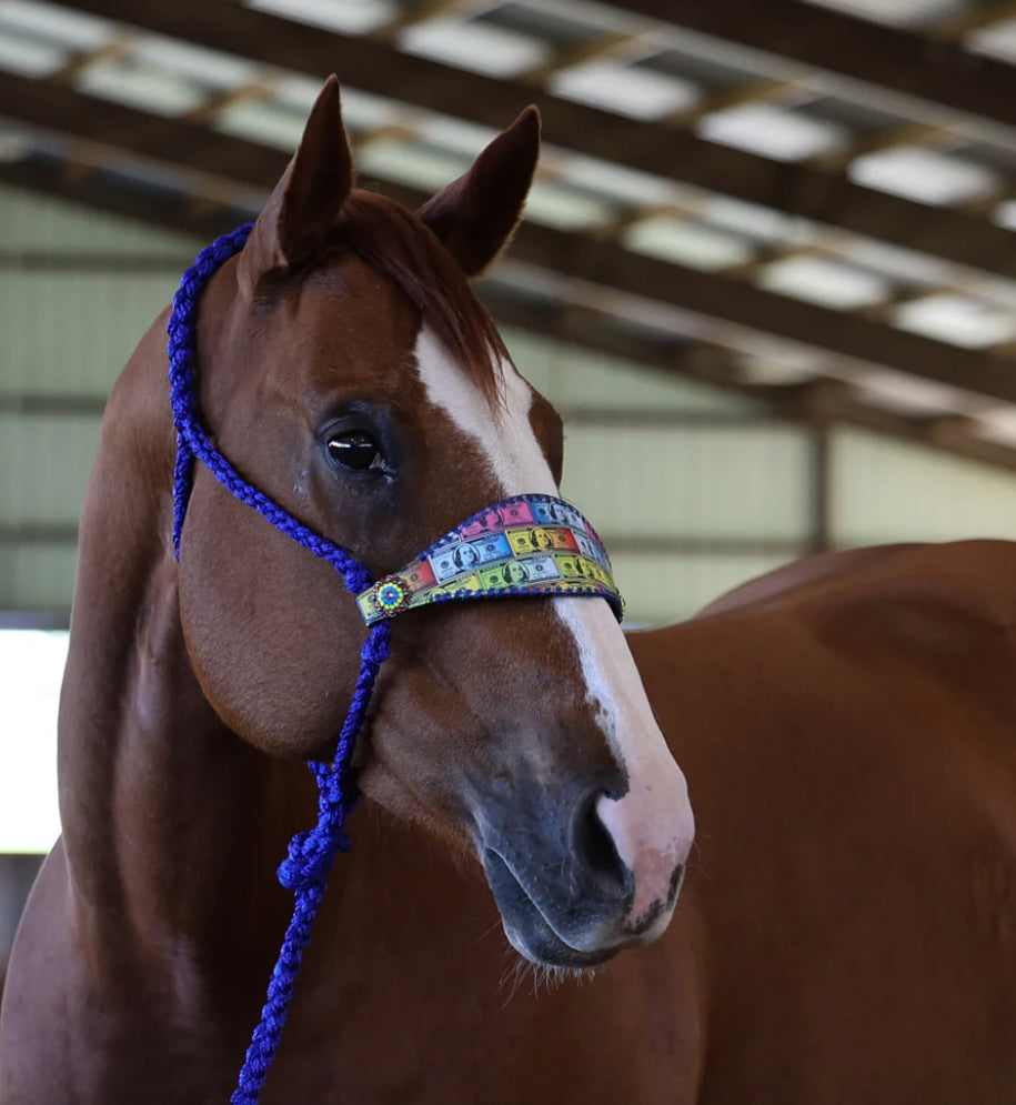 BENJIS MULE TAPE HALTER
