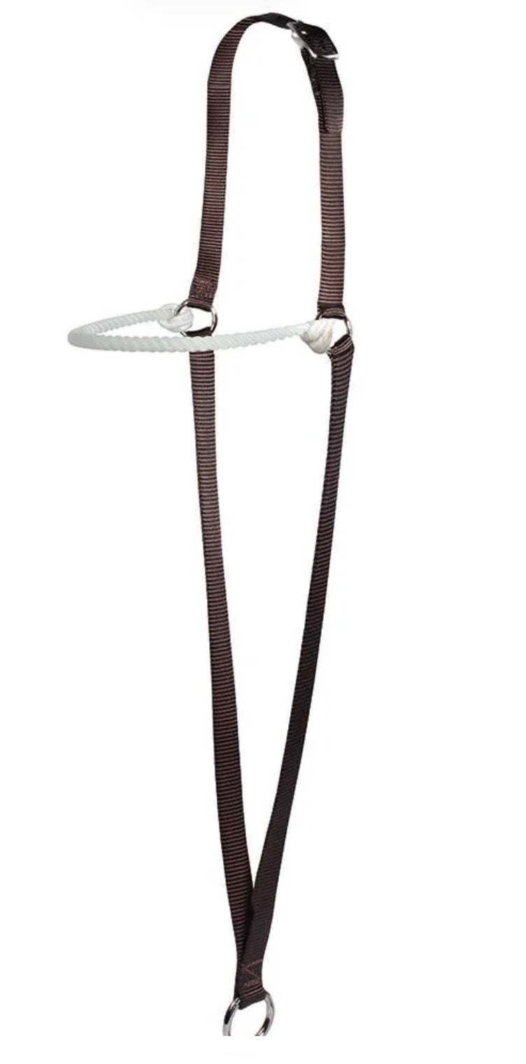 War bonnet web lariats brow