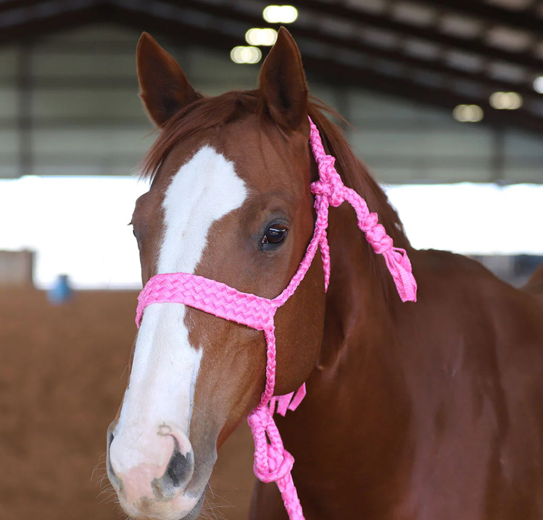 MULE TAPE HALTER-pink