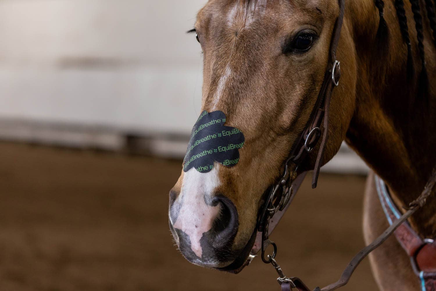 EquiBreathe™ Equine Nasal Patch - EquiBreathe™