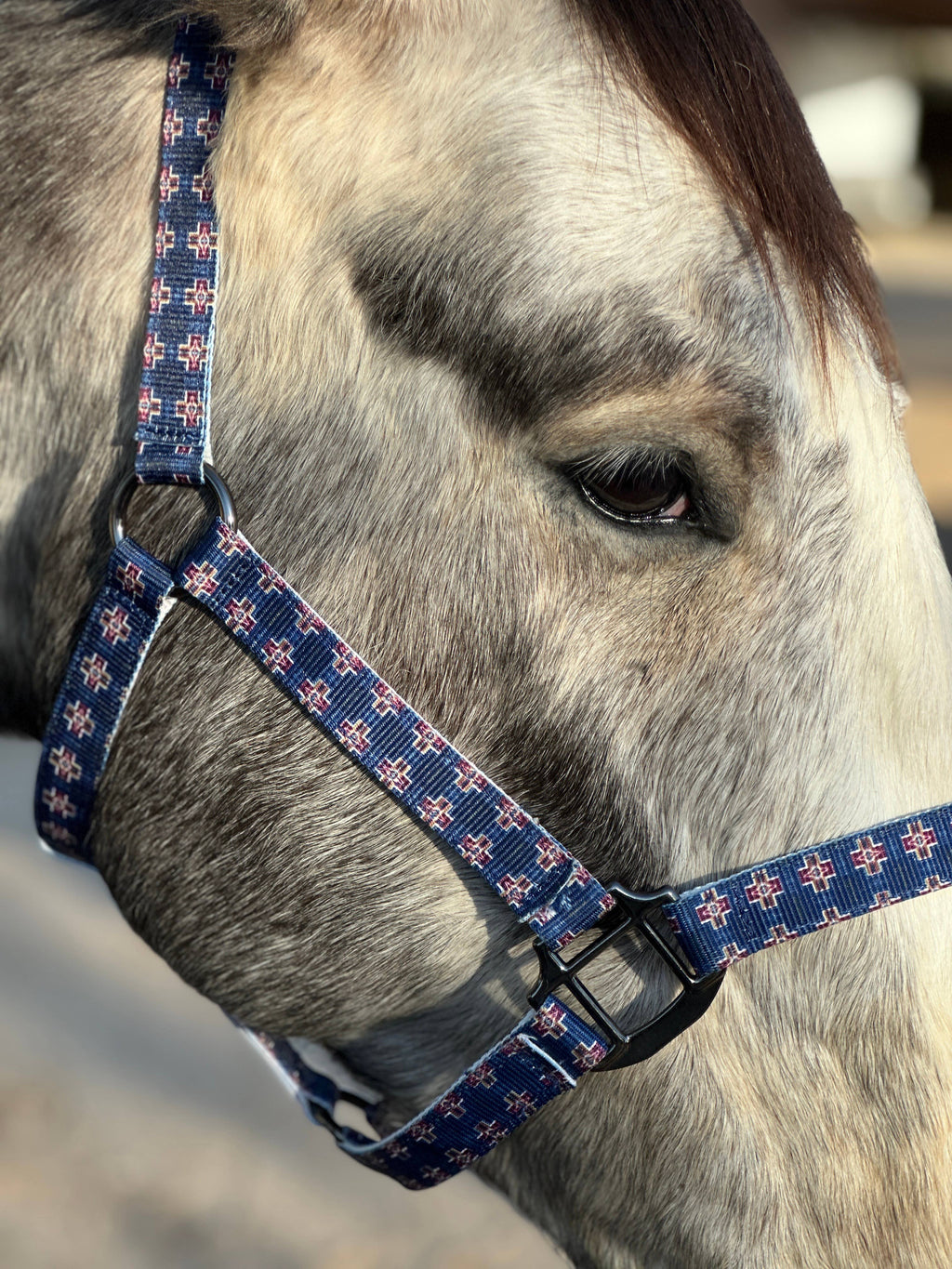 Nylon Halter - Horse Size