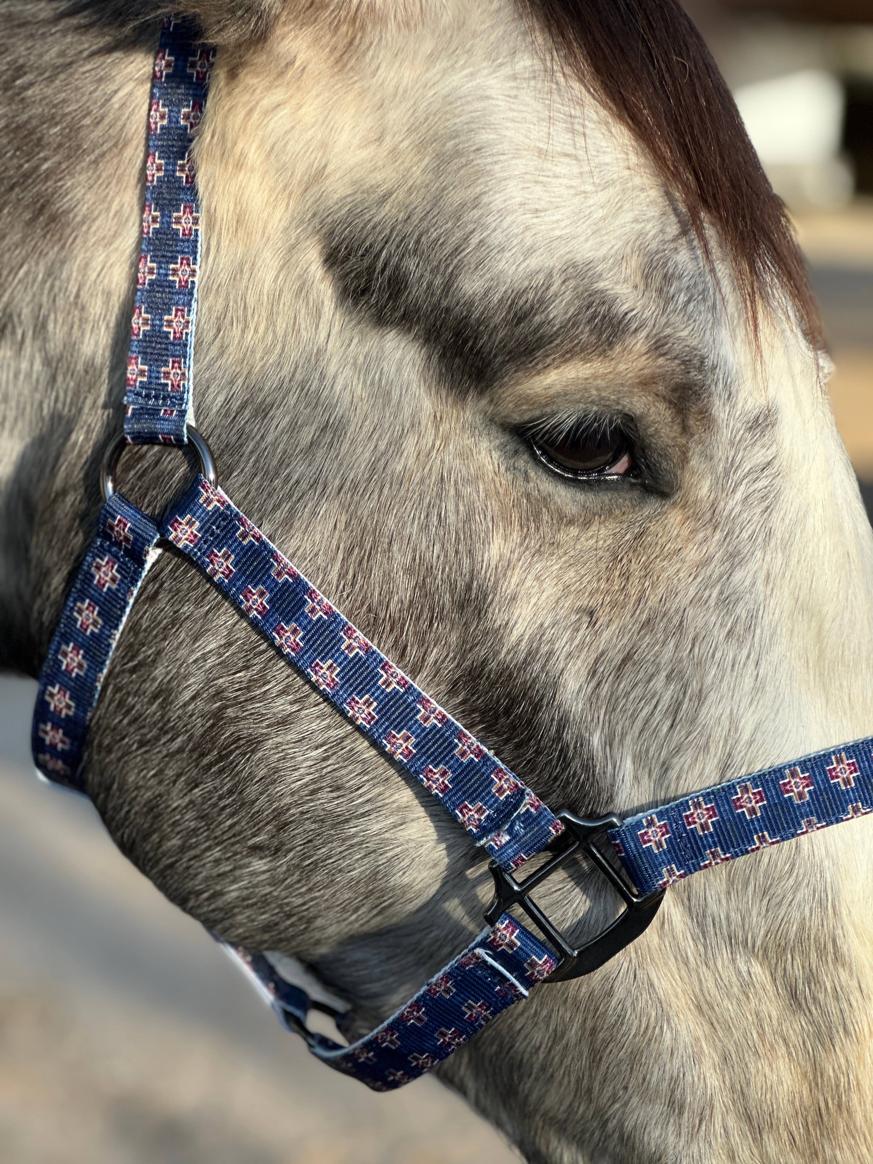 Nylon Halter - Horse Size