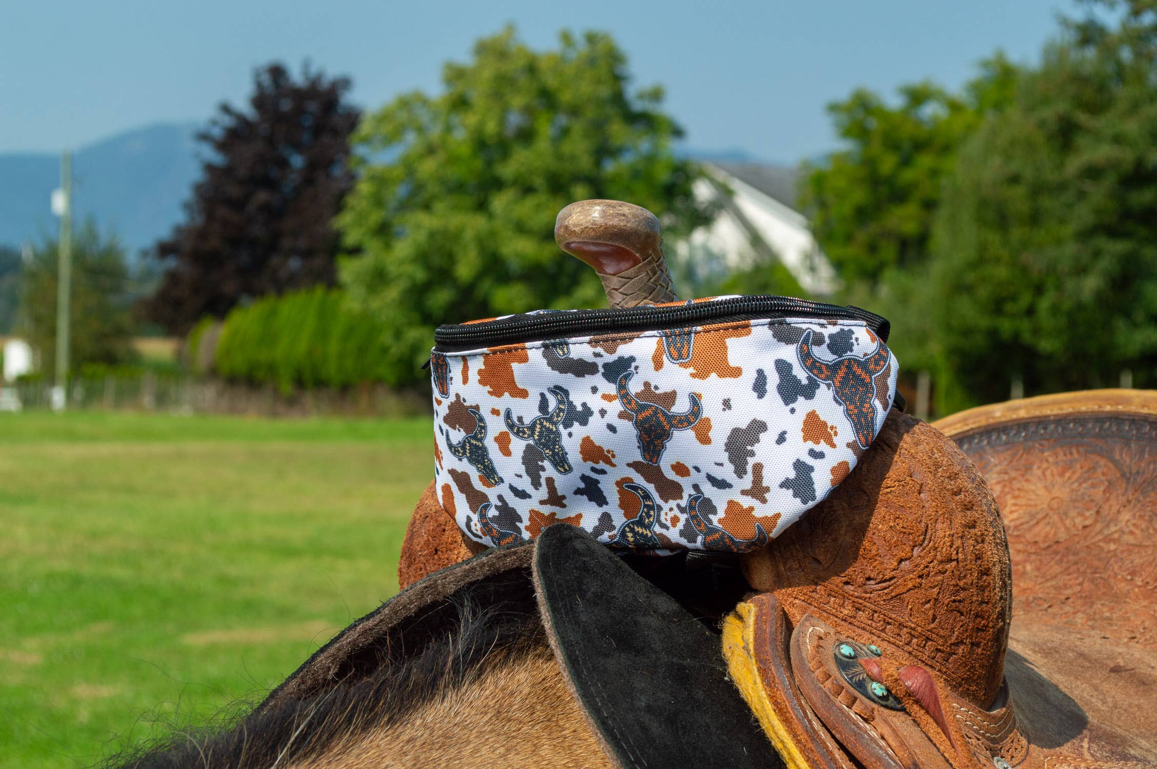 Saddle Pak