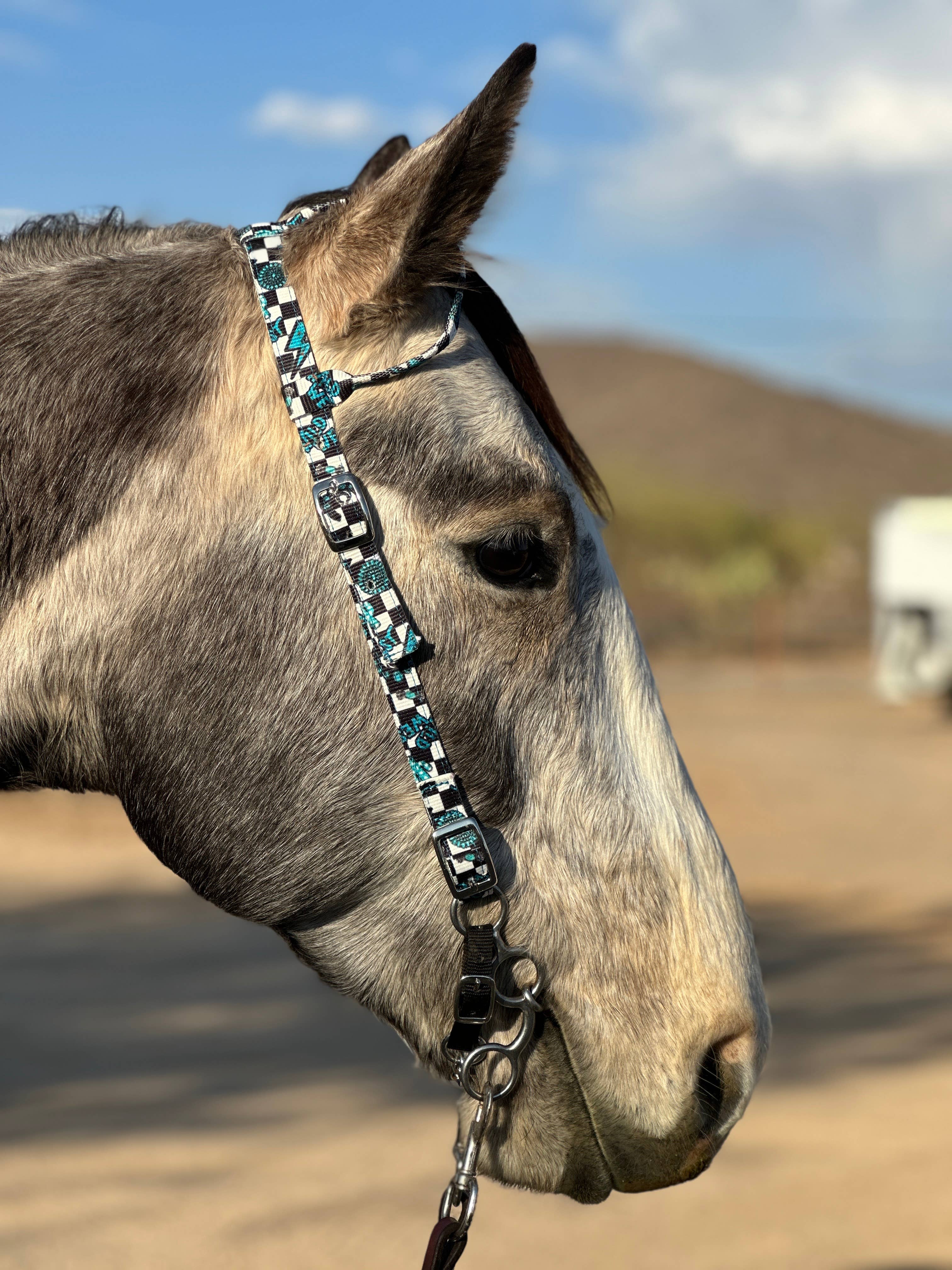 Nylon One Ear Headstall
