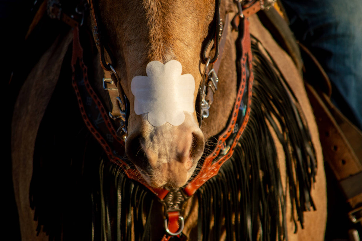 EquiBreathe™ Equine Nasal Patch - White