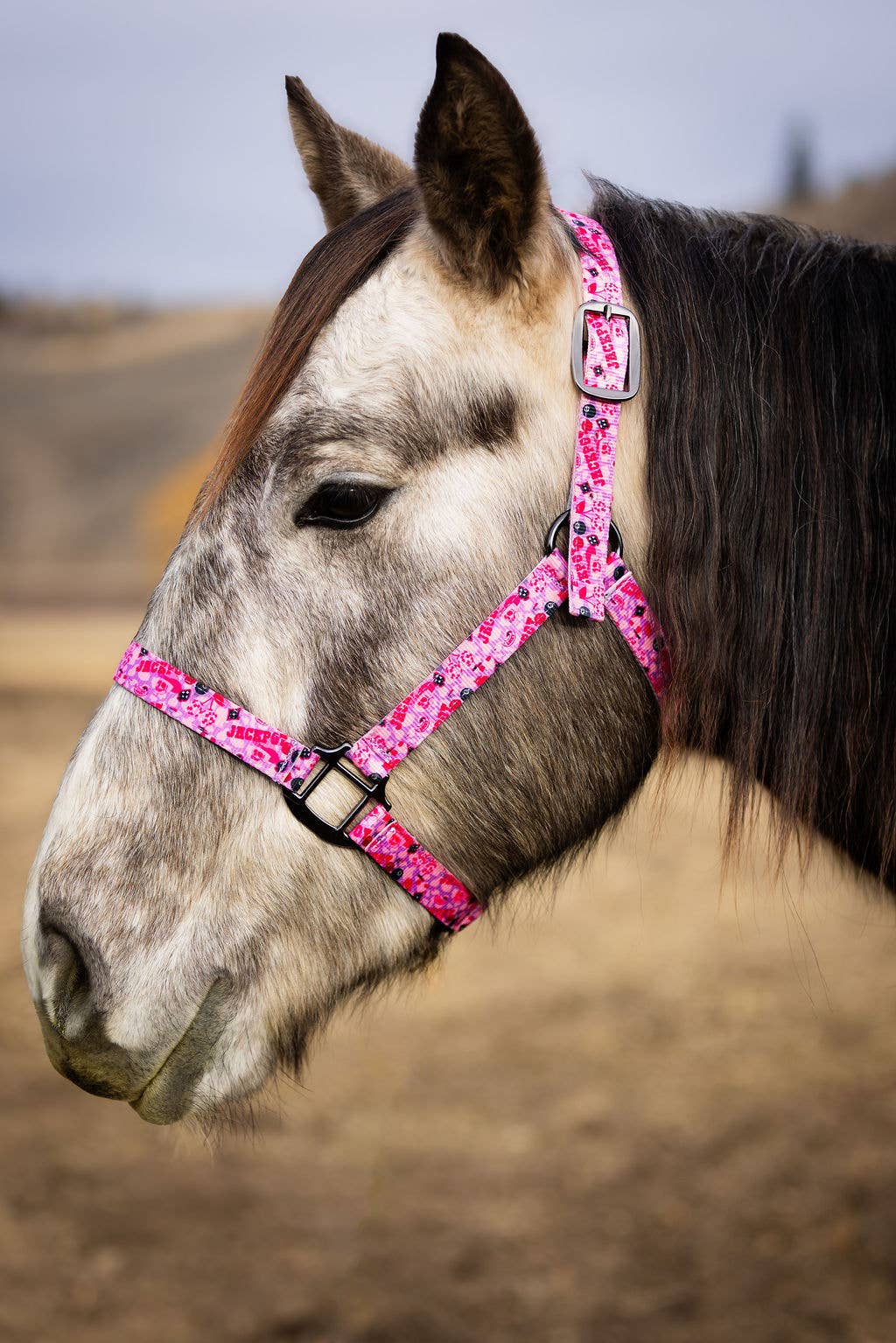Nylon Halter - Horse Size