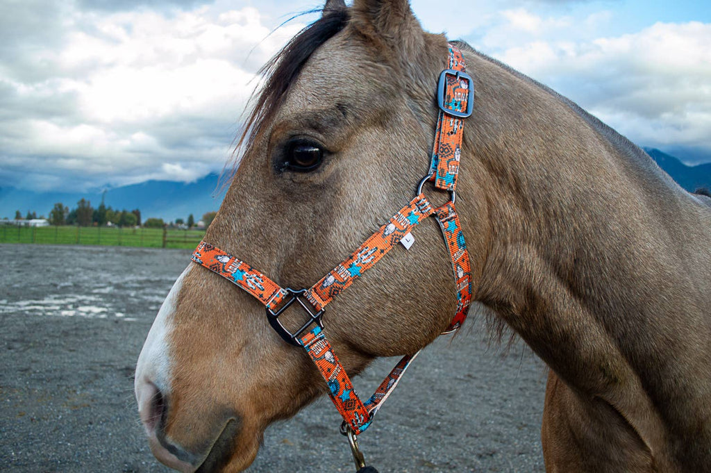 Nylon Halter - Horse Size